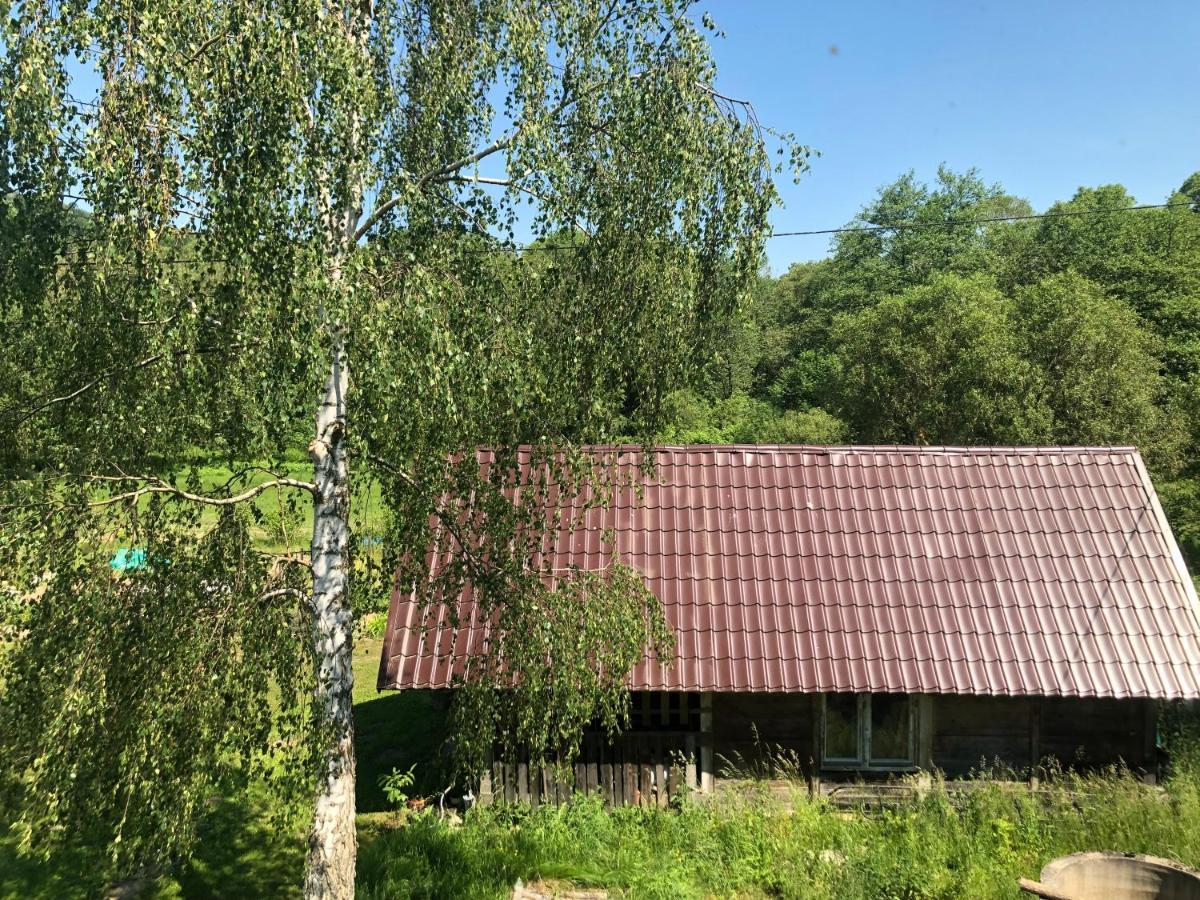 Zielonapogoda Ladek-Zdroj Luaran gambar